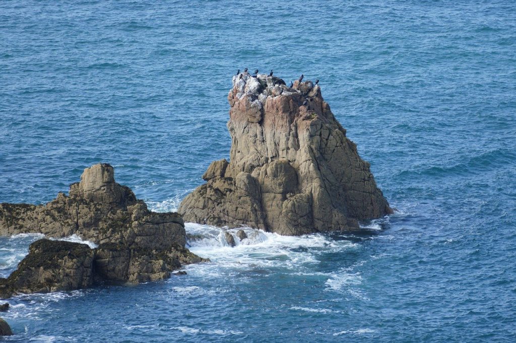 Felsen mit Möwen auf der Insel Herm.