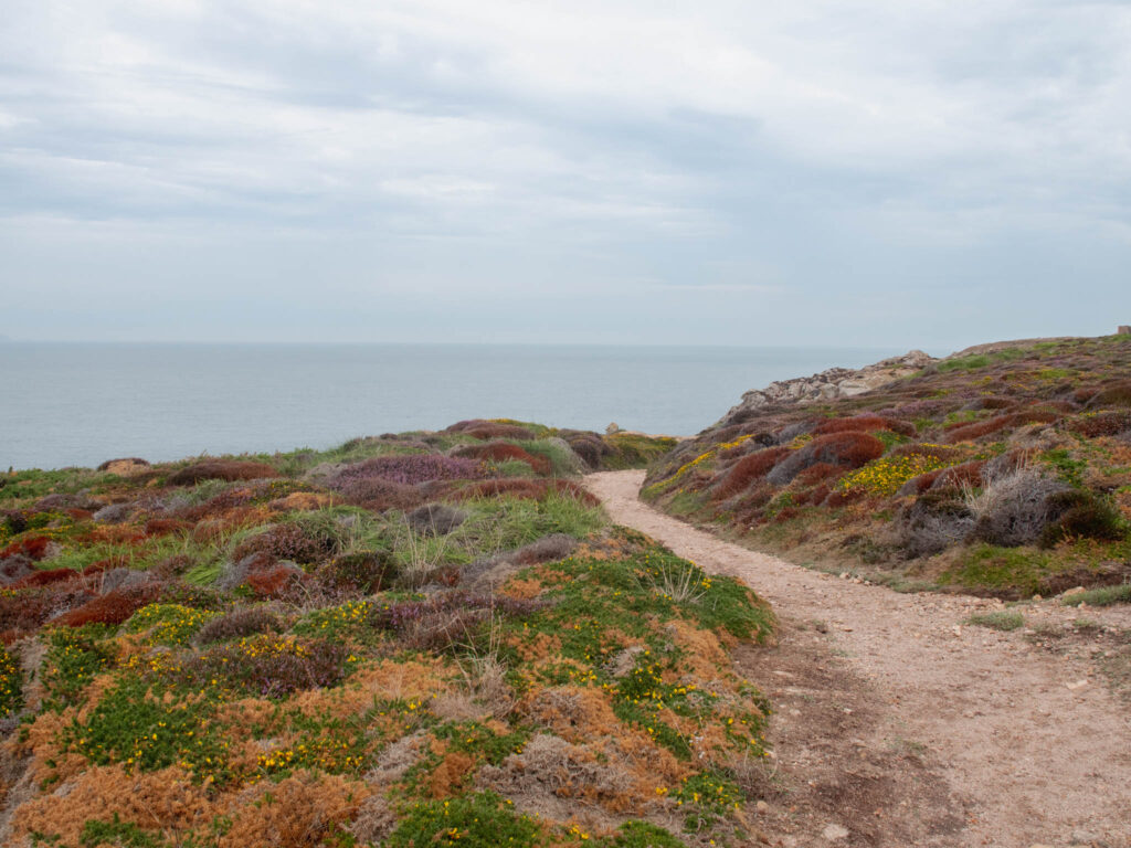 Landschaft auf den Kanalinseln